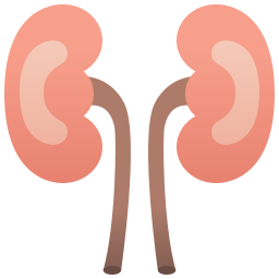 nephrology-icon